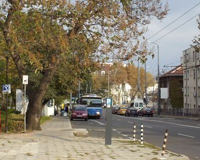 Автобуси сменят тролеите  за ден
