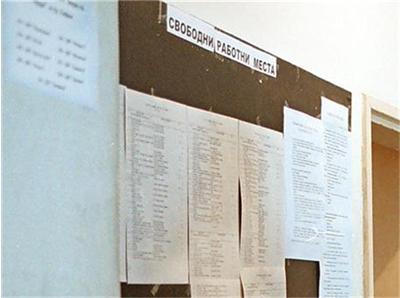 40 работни места се разкриват в Камено