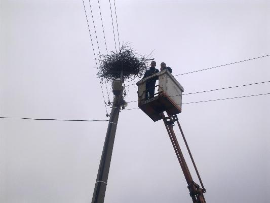 Възстановиха разрушен дом на щъркели