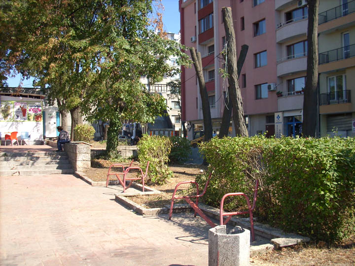 Работници счупиха пейки докато режат опасни дървета