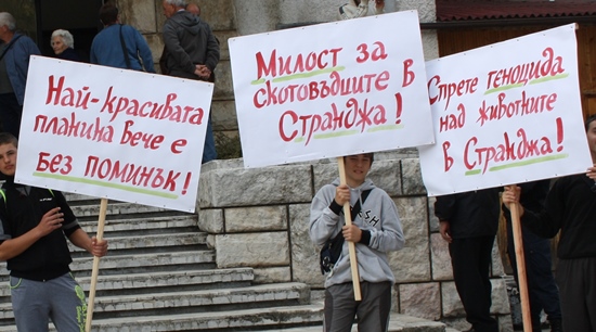 Кой не спази Закона и уби животните в Странджа?