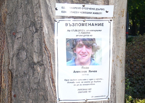 В памет на Пейо: Некролози върху опасните дървета в Бургас