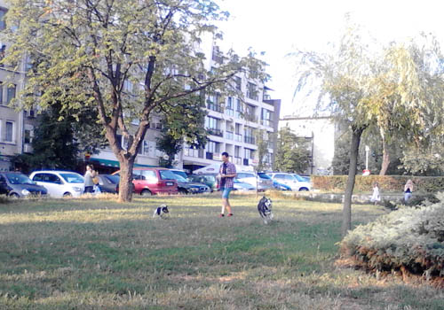 Градинките в Бургас – за кучета или за хора?