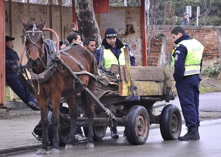 В Средец откраднаха 165 павета с каруци, а във Ветрен 50 овошни дръвчета 