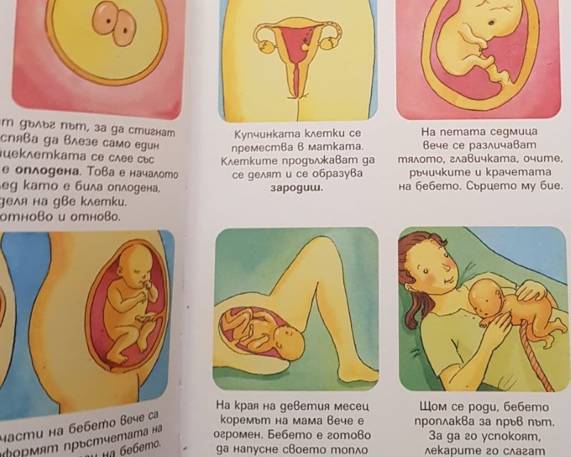 Картинки на раждаща жена в детска енциклопедия стряскат родители 