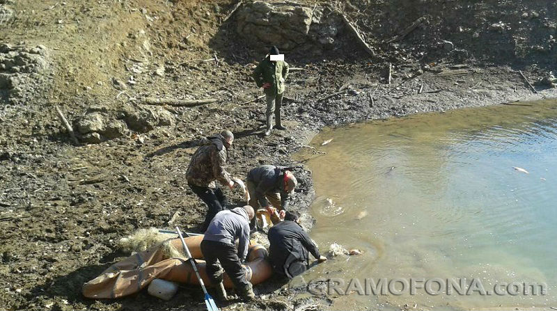 Кражба на шарани от язовир Ясна поляна преди Никулден