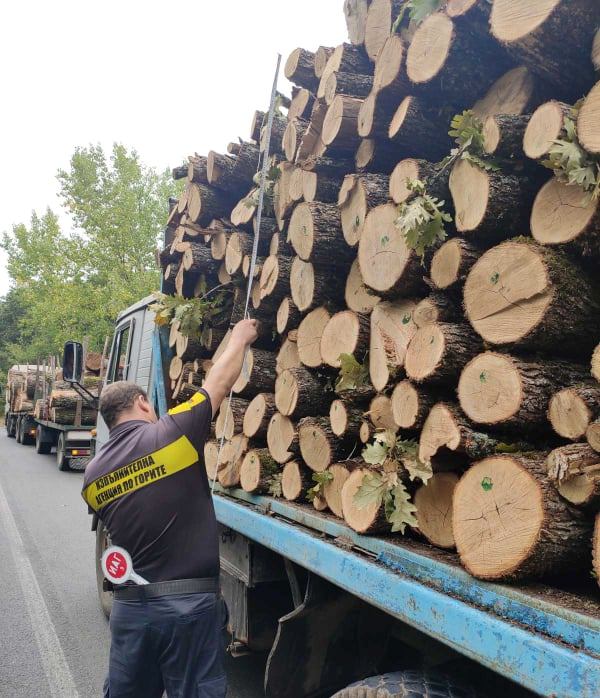 РДГ- Бургас с поредни акции и санкции на нарушителите в горите