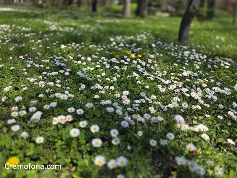 Слънчево време с малко дъжд на места