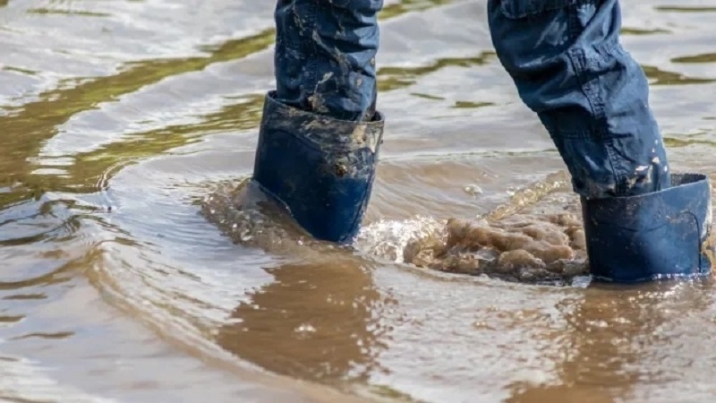 Водолази на МВР с гумена лодка евакуираха 7 души от овцеферма в Монтана