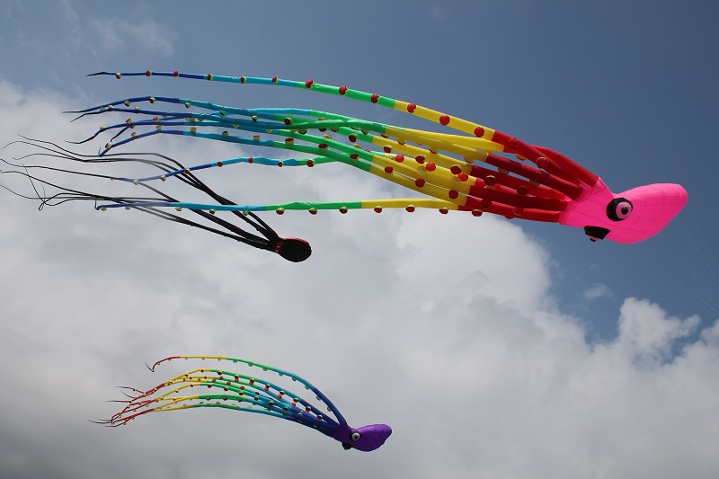 Фестивал на хвърчилата във Варвара
