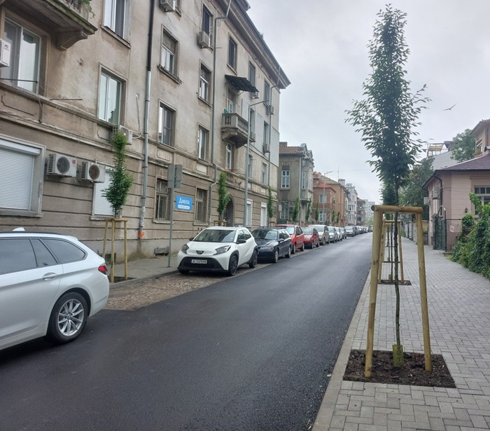 Засаждат нови дръвчета по ул. „Асен Златаров“