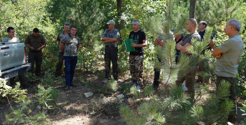 Нова лесовъдска практика в горите на Странджа планина