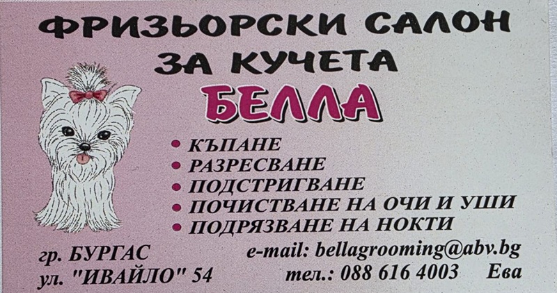 За красотата, кучетата и професията фризьор на животни
