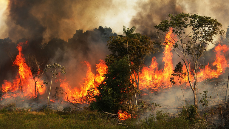 Пожарът над село Югово отново се разрасна