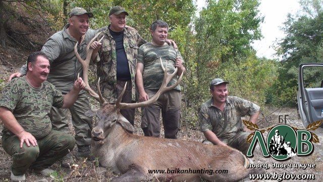 Две убити сърни и части от благороден елен откриха горски инспектори от РДГ Бургас 