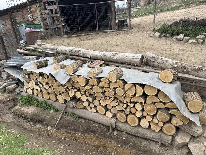 Засилени мерки за ограничаване на незаконните дейности в горите