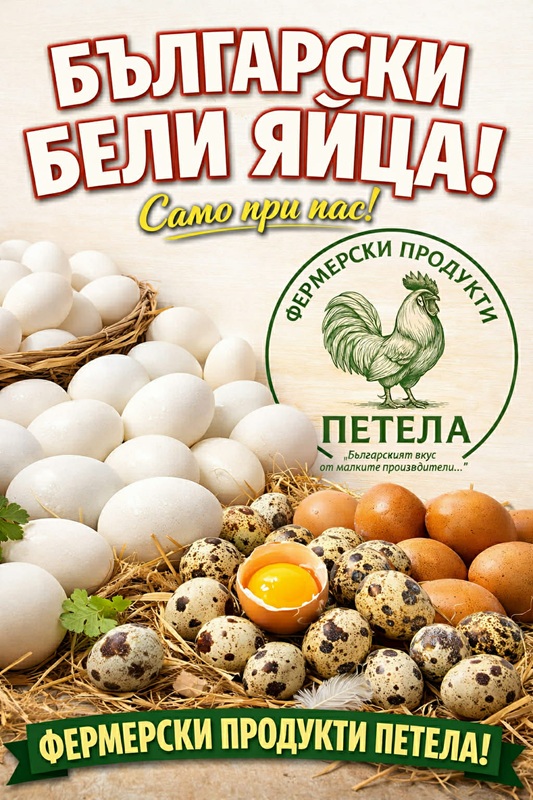Бели български яйца във фермерски продукти ,,ПЕТЕЛА”