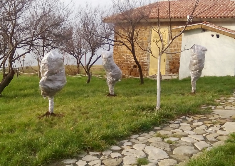 Опаковаха острова