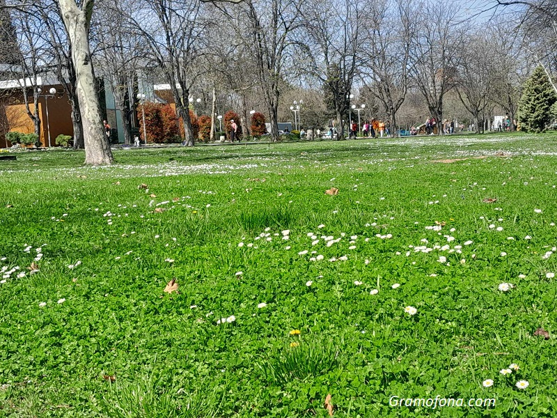 Слънчева сряда с температури до 18 градуса
