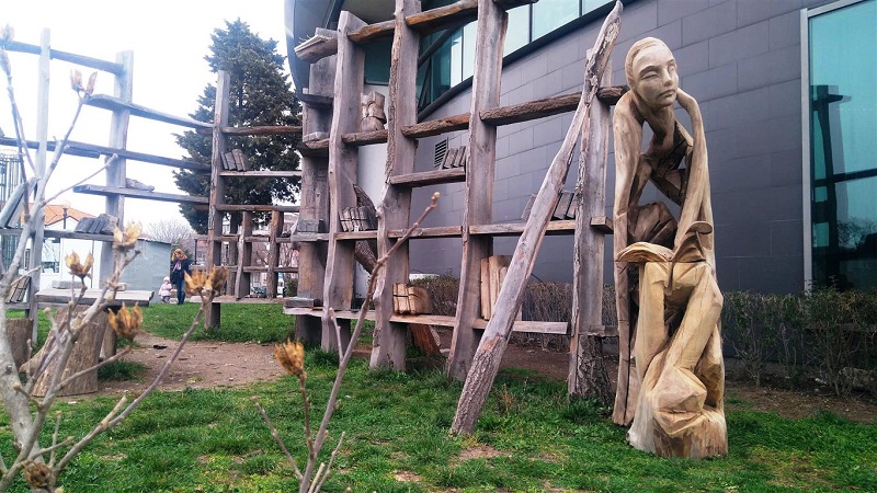 Стари чинари се превърнаха в скулптури по крайбрежната алея на Поморие