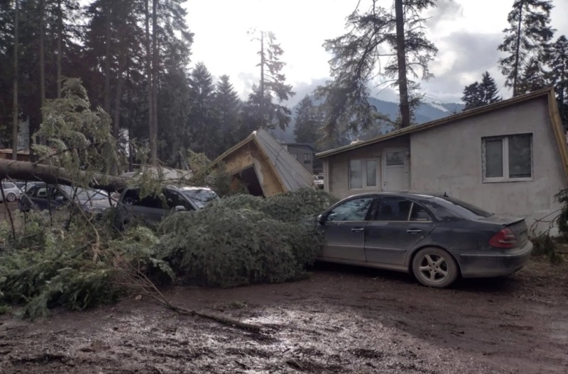 Дървета смазаха автомобили на Боровец