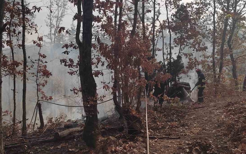 Пожарът край Стоилово е потушен