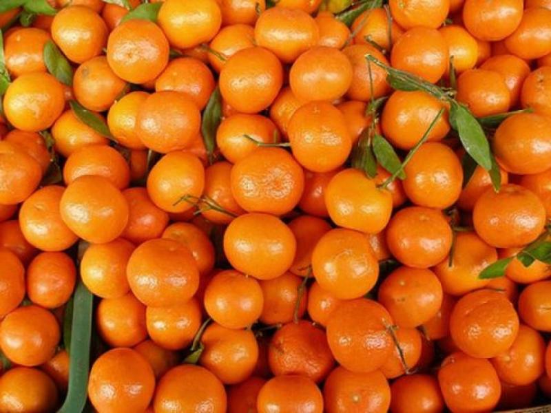 В Република Сръбска забраниха вноса на мандарини от Турция 