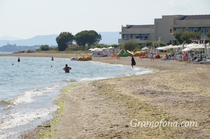 Забраниха влизане в морето на 12 плажа в Гърция, водата замърсена