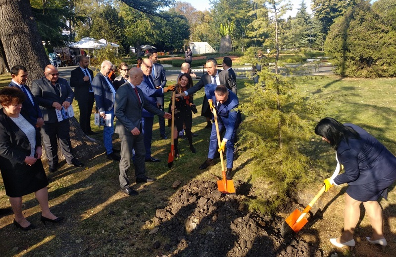 Черноморски кметове и посланик Херо Мустафа засадиха 20 кедъра в Морската градина на Бургас