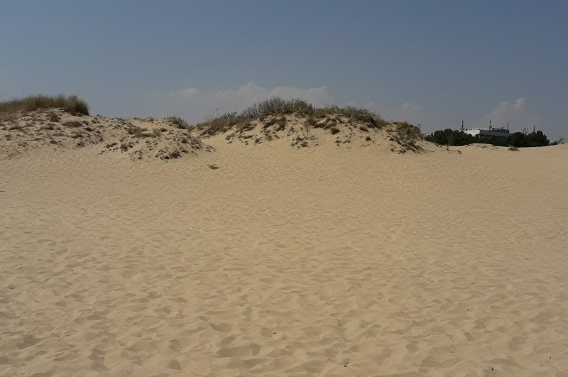 Две министерства проверяват плажове в Слънчев бряг