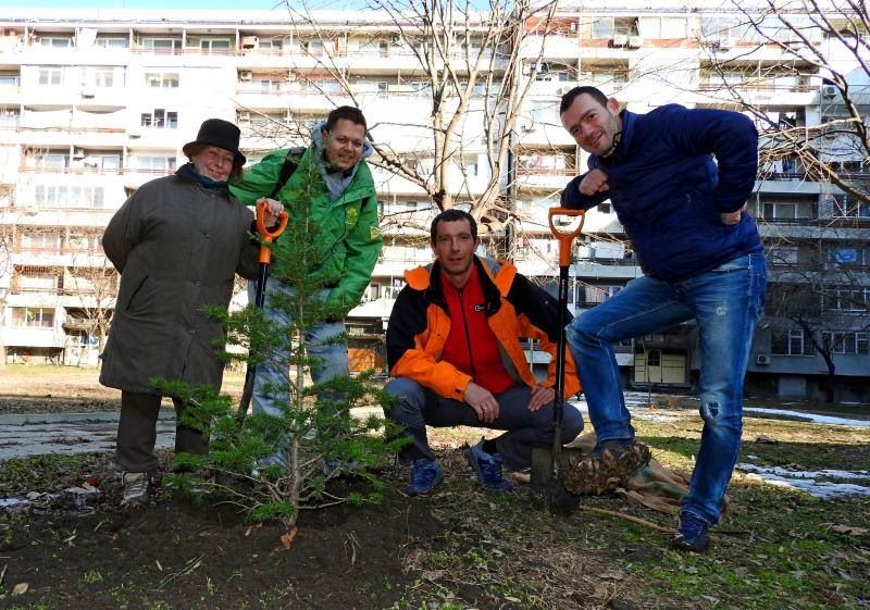 Кампания по засаждане на живи елхи в Бургас