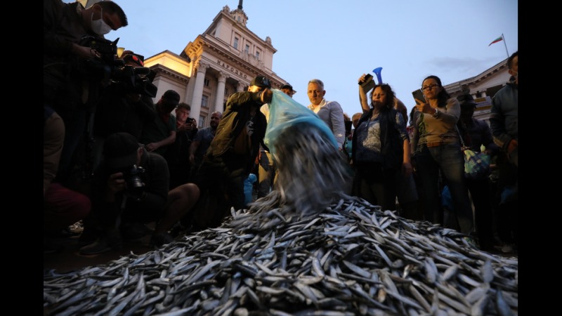 Изсипаха сурова риба пред Министерски съвет