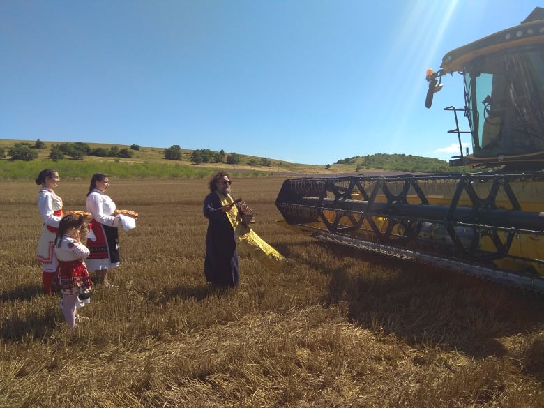 Три пъти по-слаб добив на пшеница очакват зърнопроизводителите в Бургаско