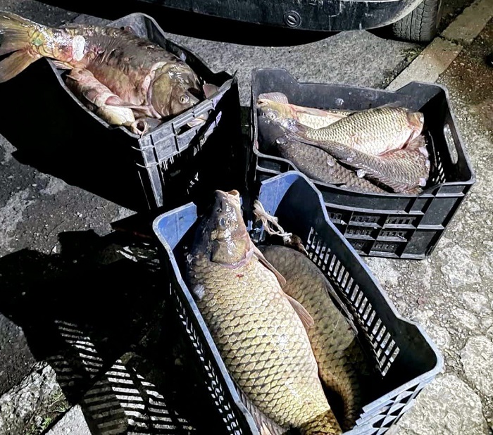 Хванаха нарушител със 120 кг риба в Бургас