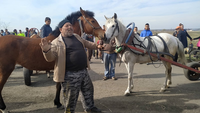 17-годишната Анастасия донесе големия приз на стопанина си от кушиите в Камено