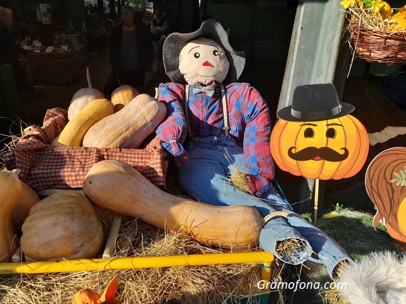 Не пропускайте празника на тиквата на пазар Краснодар
