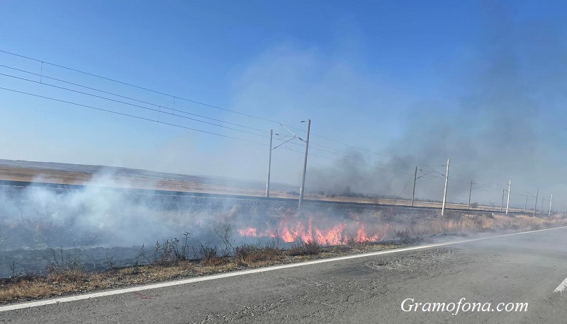 Пожар край жп линията до Карнобат 