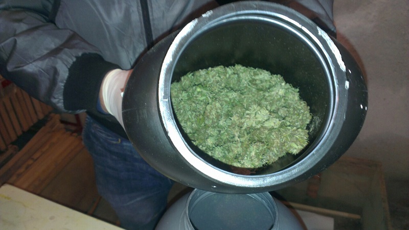 Депо за марихуана в дома на бургазлия