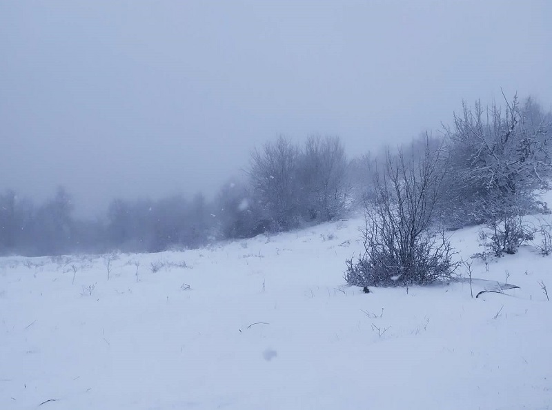 Снегът идва тази нощ първо в Северна и Западна България 