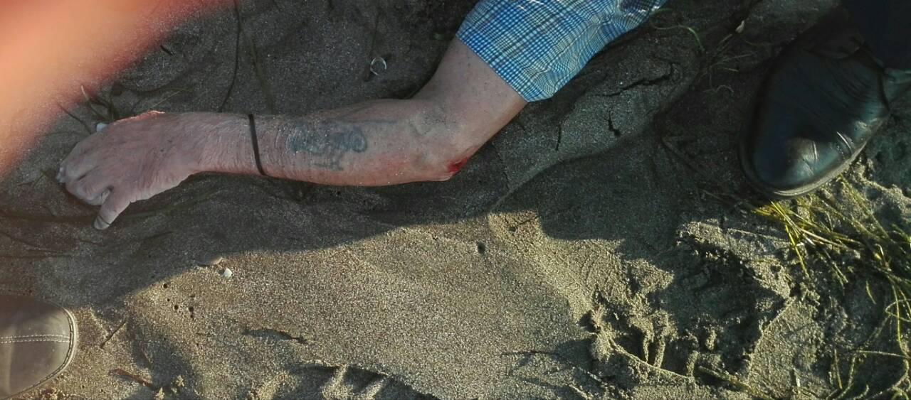 Издирват по татуировка удавник от Северния плаж