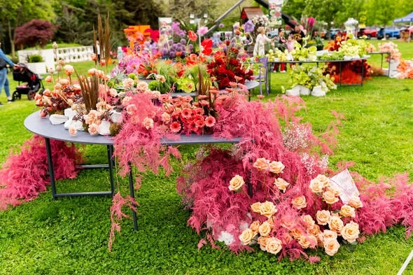 Завъртете колелото на вдъхновението – станете част от ФЛОРА БУРГАС 2026