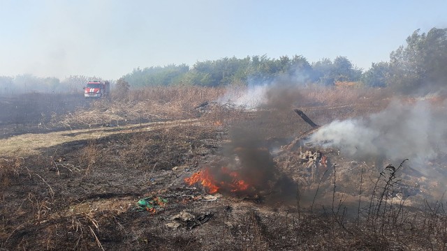 Горят десетки декари земеделска земя край Пловдив