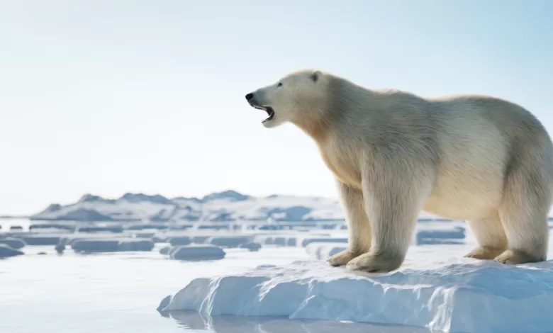 WWF: Светът е преминал критичната температурна граница от 1,5 градуса