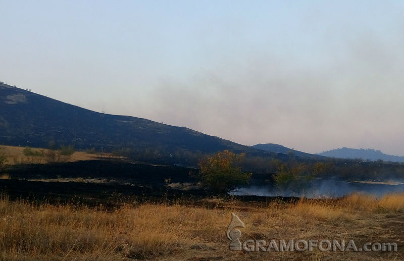 Пожарът край Изворище и Банево е потушен