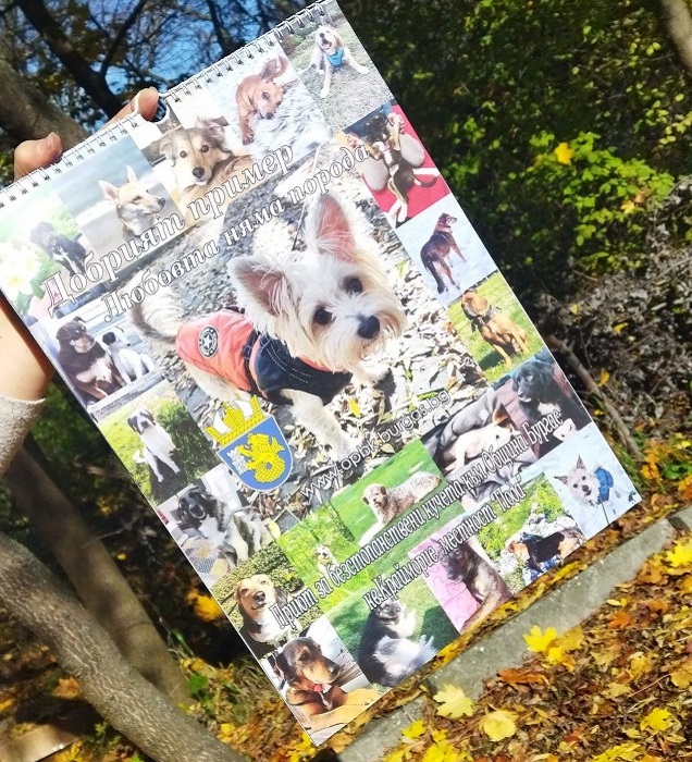 Купи календар и подкрепи благотворителна инициатива на приюта за безстопанствени кучета