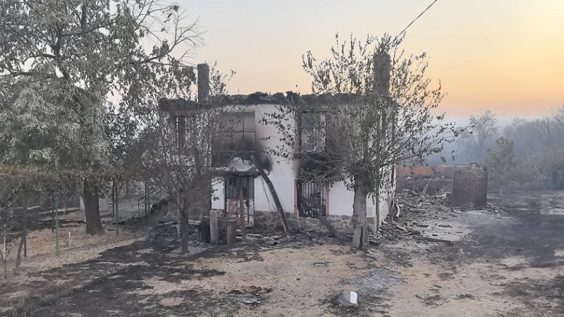 25 заявления за помощи са подадени след пожарите, парите са преведени за 11 от тях