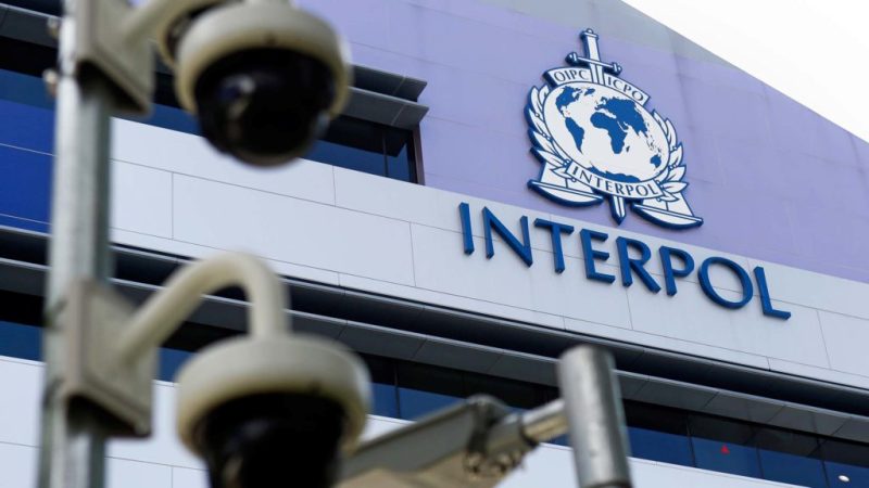 Международна педофилска мрежа разбита от Интерпол