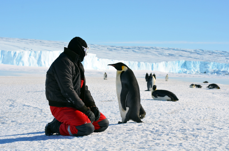 Коронавирусът превзе и последния свободен от заразата континент – Антарктида