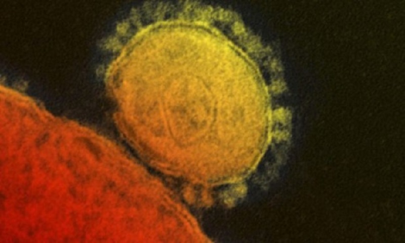 Епидемията от MERS se разраства в Южна Корея