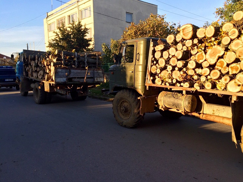 Горските задържаха камиони с незаконна дървесина
